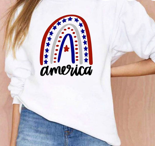 America With Rainbow T-Shirt or Crew Sweatshirt