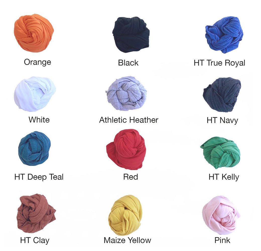 Educator of Mini Humans Tee