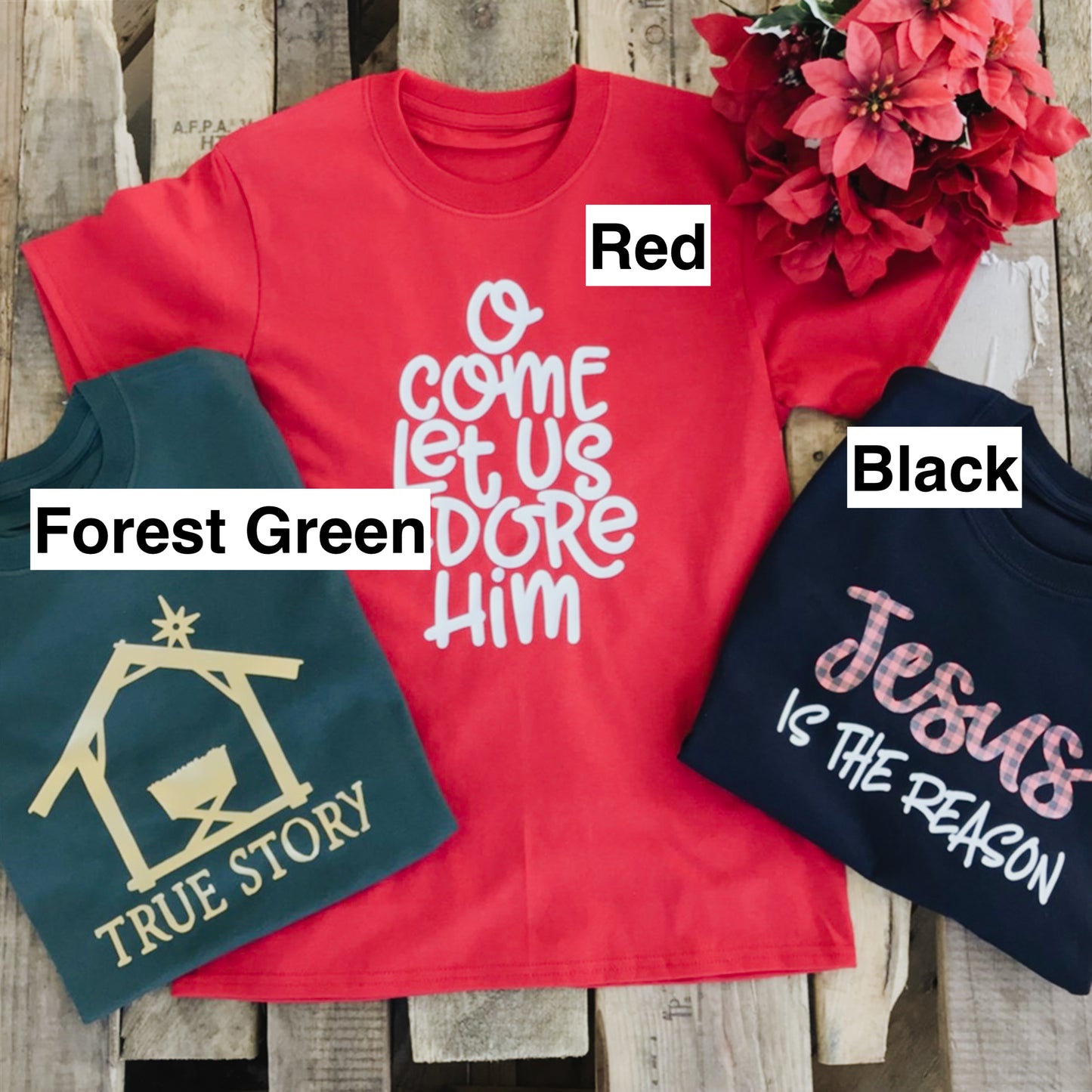 True Story Christmas Nativity Scene Tee