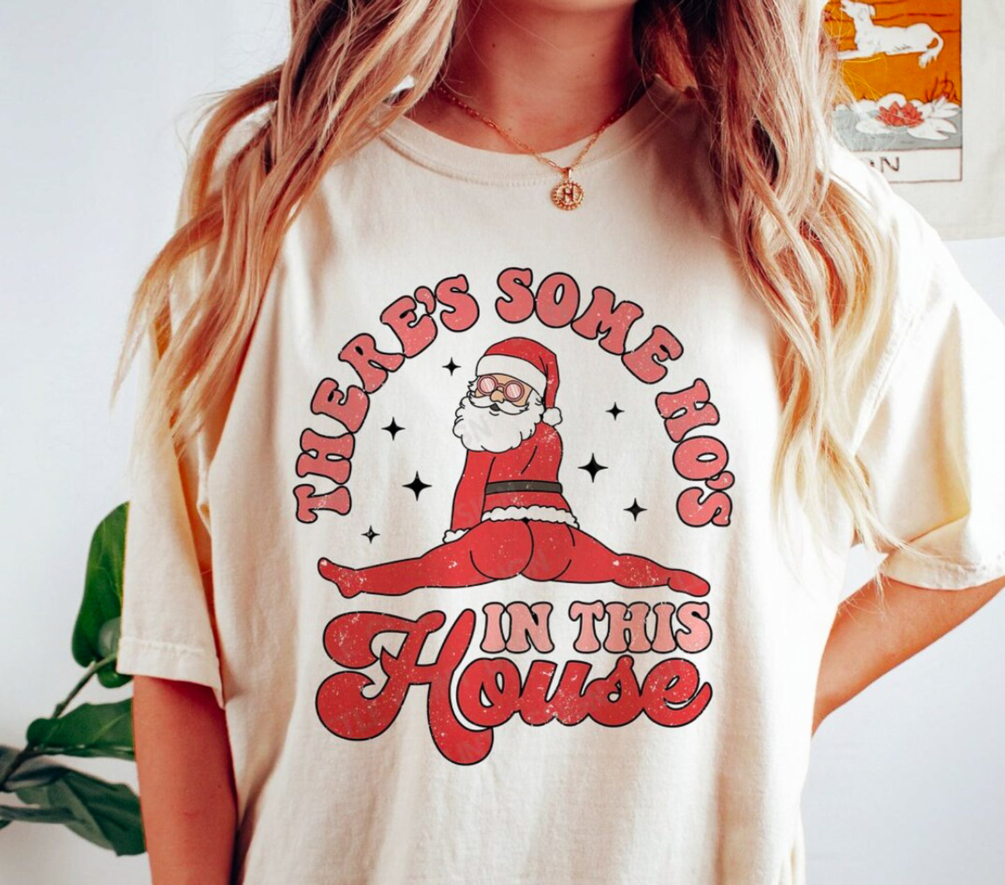 There's Some Ho's In this House Santa Tee