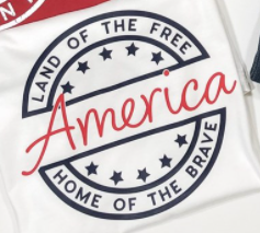 America Land of The Free Home of The Brave Tee