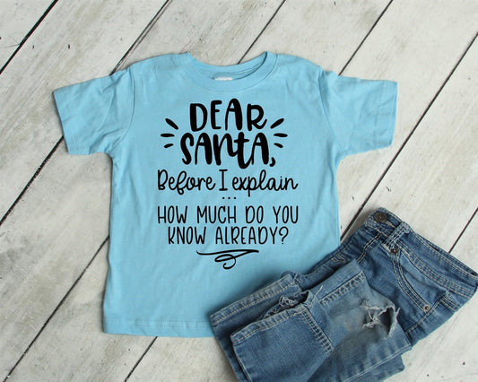 Dear Santa, Before I Explain How Much Do You Know Already? Tee