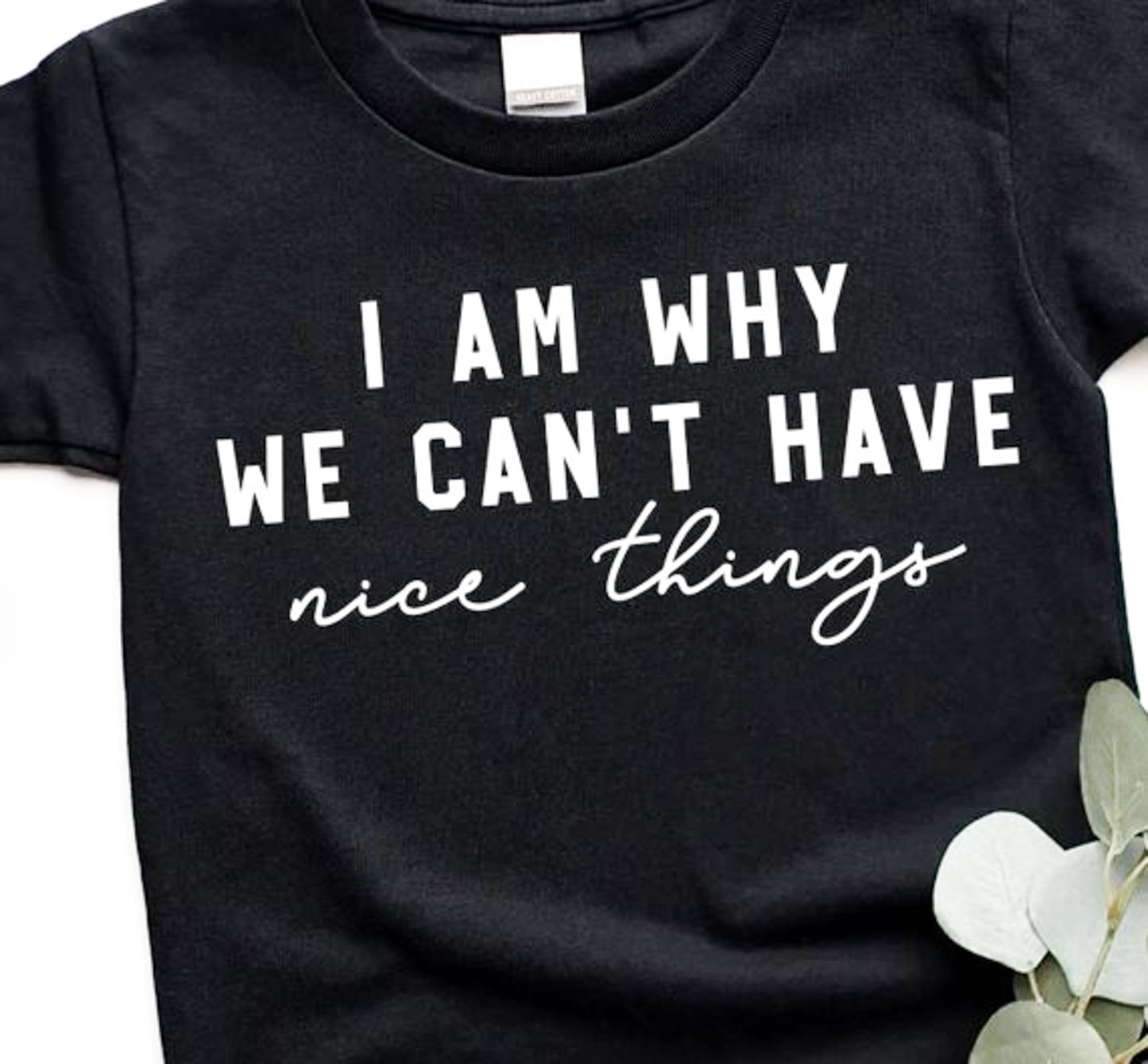 I Am Why We Can't Have Nice Things Tee