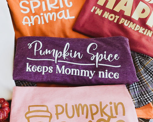 Pumpkin Spice Keeps Mommy Nice T-Shirt or Crew Sweatshirt